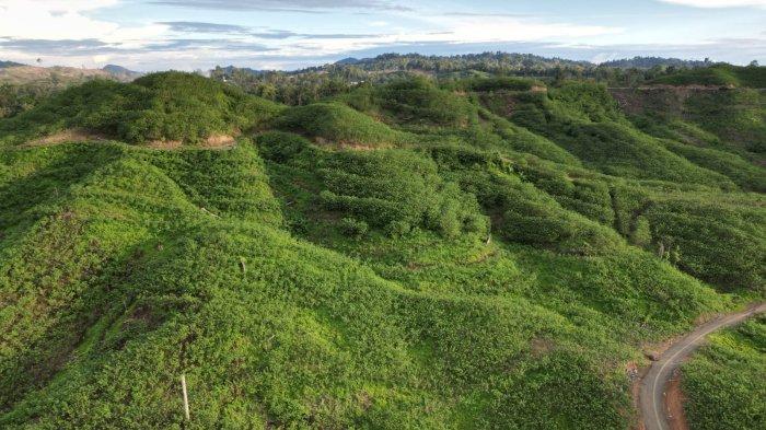 Kawasan kegiatan Bisnis PT Banyan Tumbuh Lestari dan PT Inti Global Laksana