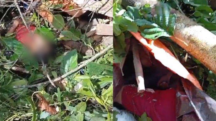 Longsor di Dengilo, Pohuwato, Gorontalo. 6 tukang sensor tewas tertimpa pohon.