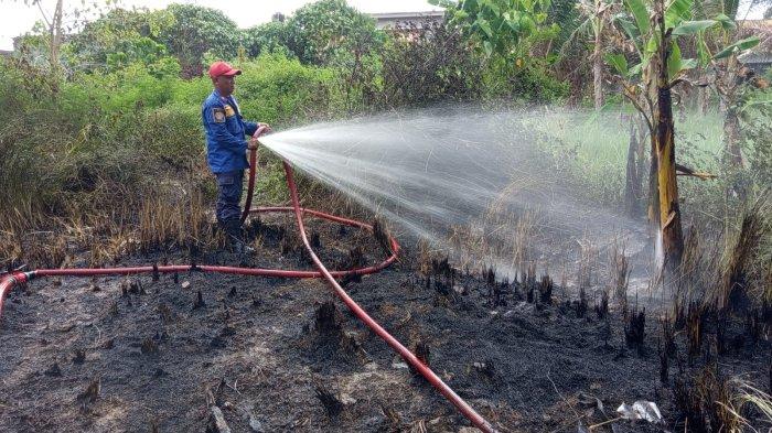 PEMADAMAN -- Seorang anggota Damkar Kota Gorontalo memadamkan api yang membakar ilalang di Kelurahan Dulalowo, Kota Gorontalo, Rabuy (7/5/2025).