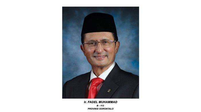 PROF.DR.IR.H. FADEL MUHAMMAD