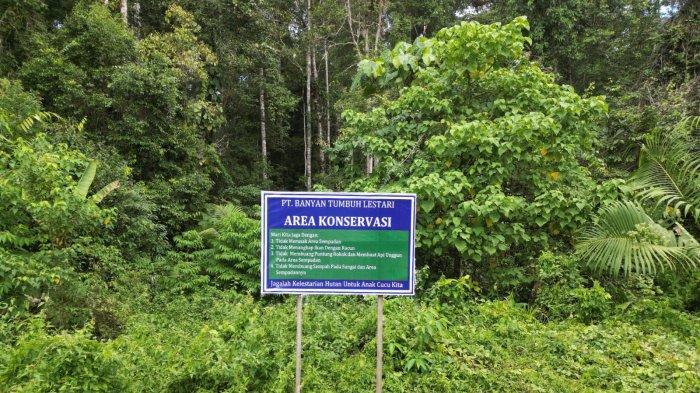 Badan Pengelolaan Hutan Lestari (BPHL) Wilayah XII Palu memberikan apresiasi kepada PT Banyan Tumbuh Lestari (BTL) berkat kontribusinya sebagai penyumbang terbesar Penerimaan Negara Bukan Pajak (PNBP) Pemanfaatan Hutan di Provinsi Gorontalo. 