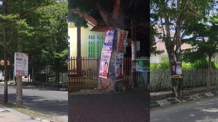 Potret baliho di pohon-pohon.