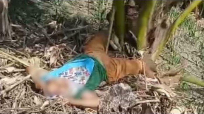 Seorang nenek ditemukan tewas di bawah pohon kelapa