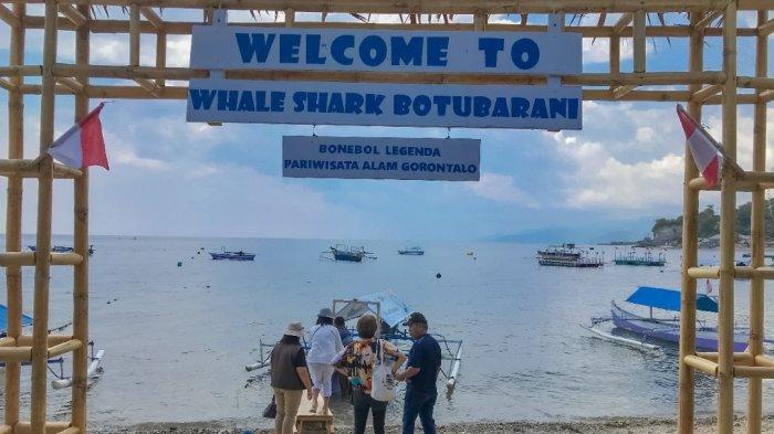 Simak harga tiket masuk hingga paket wisata Hiu Paus per November 2024.