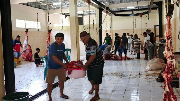 PEMOTONGAN HEWAN KURBAN - Suasana pemotongan sapi kurban di RPH Kota Gorontalo, Sabtu (7/6/2025). Total 13 sapi kurban disembelih di RPH Kota Gorontalo.
