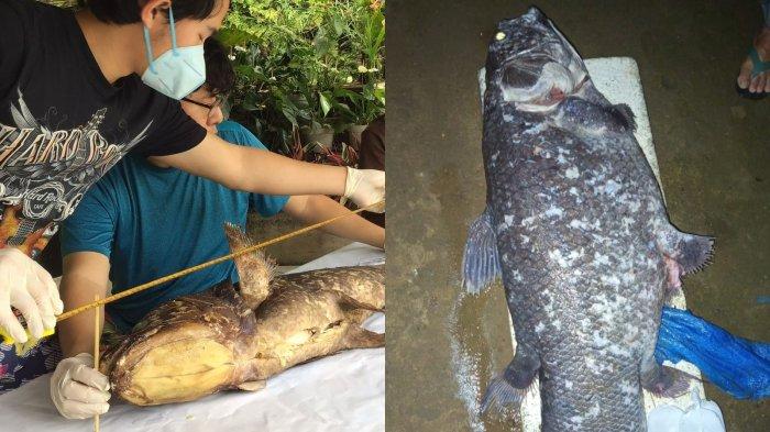 Tim peneliti dari Universitas Samratulangi Manado mendatangi lokasi penemuan ikan Coelacanth di Desa Imana, Kecamatan Atinggola, Kabupaten Gorontalo Utara, Jumat (17/1/2025).