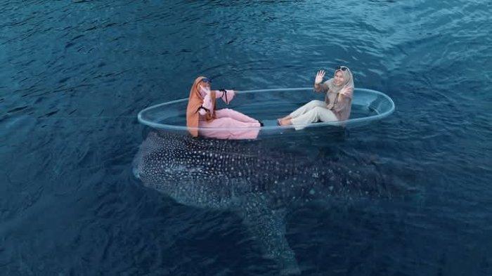 Nisa bersama saudaranya saat mengabadikan momen dengan hiu paus melalui drone di perahu kaca, Minggu (19/1/2025)