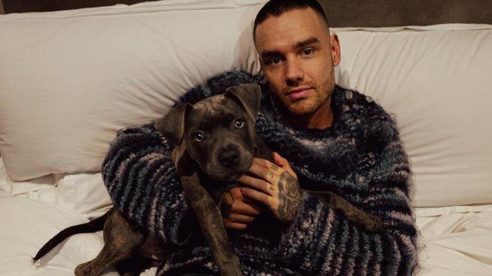 Liam Payne meninggal dunia terjatuh dari lantai tiga sebuah kamar hotel di Buenos Aires