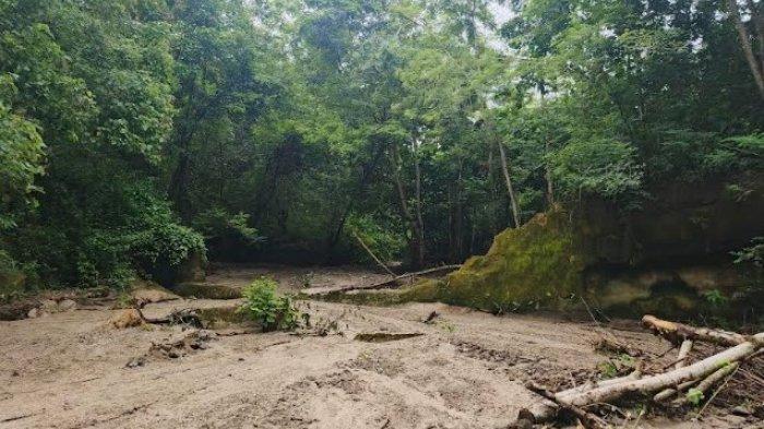 TANGGUL JEBOL - Kondisi tanggul di Desa Tanah Putih yang tampak jebol, Minggu (9/3/2025). Tanggul ini tak lagi menahan debit air, sehingga setiap kali terjadi hujan banjir selalu menghantui warga desa Tanah Putih.
