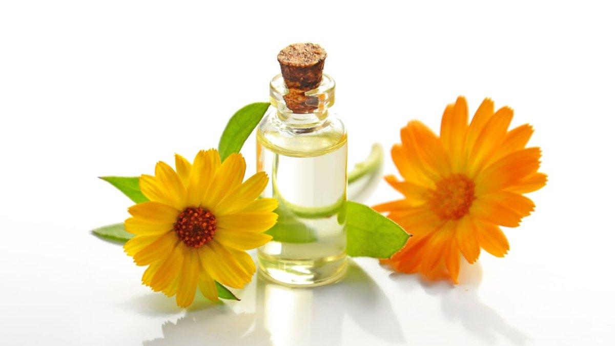 FOTO HANYA ILUSTRASI - Berikut ini manfaat tea tree oil atau minyak pohon teh