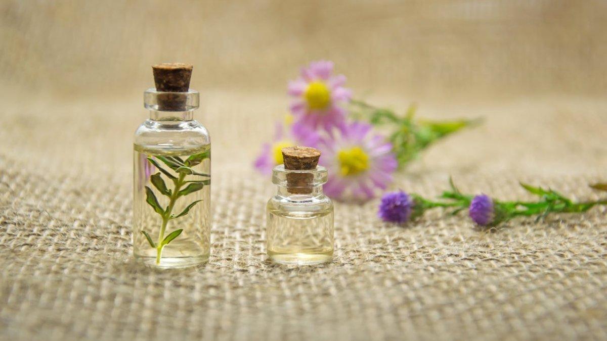 FOTO HANYA ILUSTRASI - Berikut ini manfaat tea tree oil atau minyak pohon teh