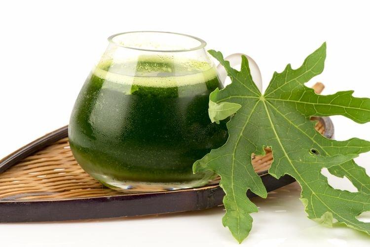 Ilustrasi jamu daun pepaya, jamu yang dapat meningkatkan produksi ASI