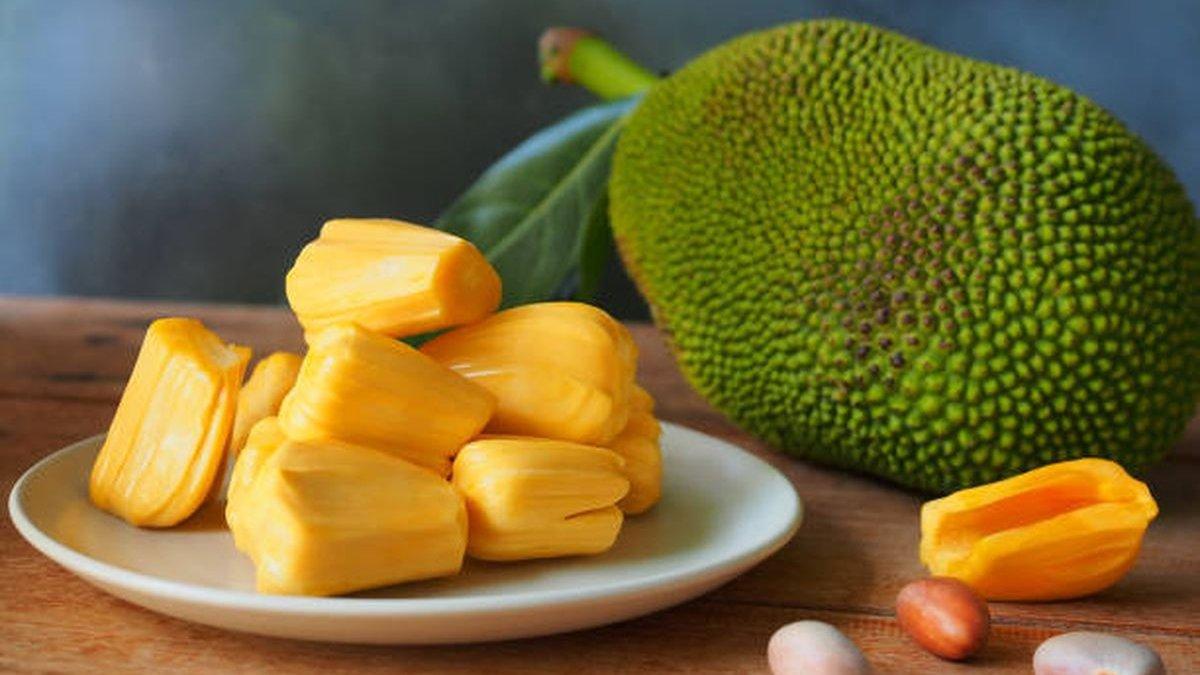 ilustrasi buah nangka