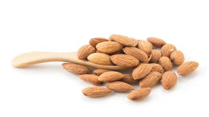 Ilustrasi kacang almond