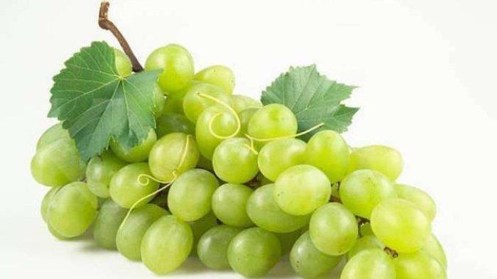 Ilustrasi anggur hijau, berikut ini manfaat anggur hijau untuk kesehatan tubuh
