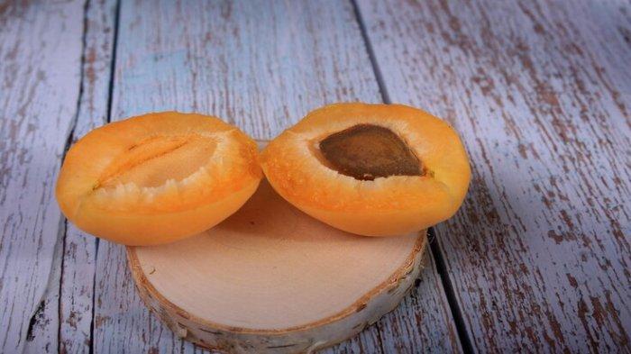 Ilustrasi apricot, salah satu buah yang rendah gula baik dikonsumsi setiap hari