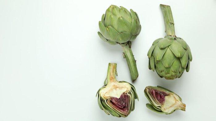 Ilustrasi artichoke
