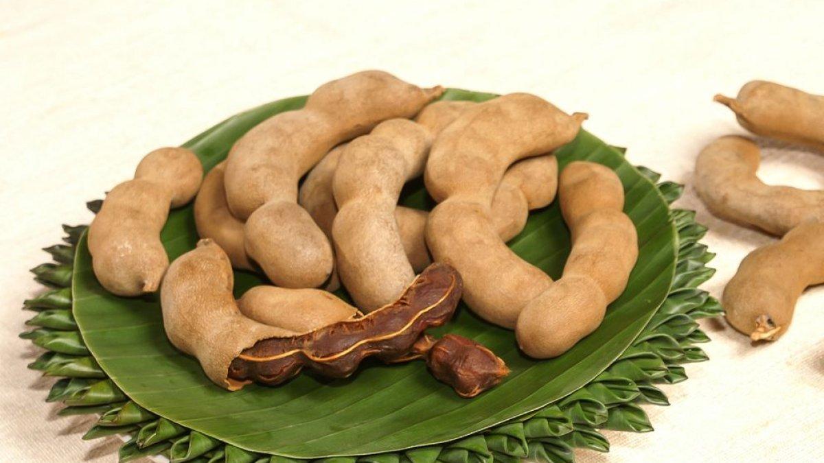 manfaat asam jawa untuk kesehatan