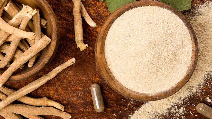 Ilustrasi ashwagandha, salah satu bahan herbal untuk atasi tekanan darah tinggi atau hipertensi