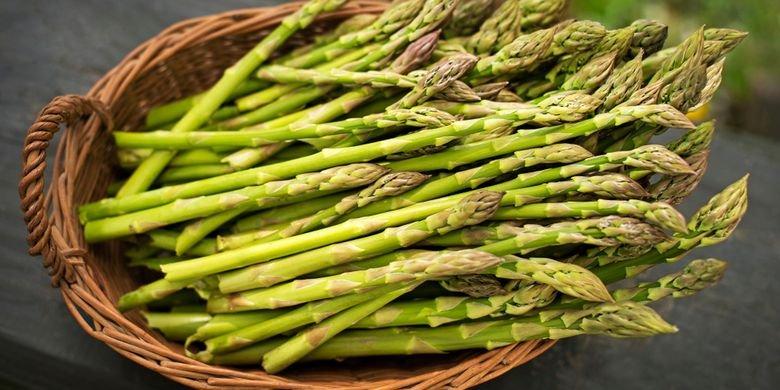 ilustrasi asparagus