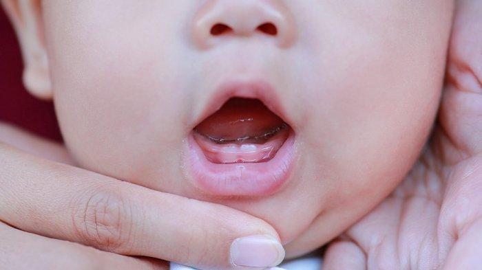 ilustrasi bayi yang mulai tumbuh gigi