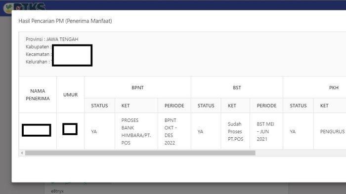 Cara cek penerima PKH dan BPNT di situs cekbansos.kemensos.go.id