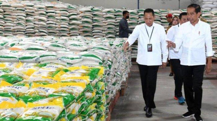 Presiden Jokowi dan Dirut Bulog Budi Waseso saat meninjau beras untuk bansos beberapa waktu lalu. Pemerintah memutuskan untuk memperpanjang pemberian bantuan sosial (bansos) beras 10 kg hingga Juni 2024.