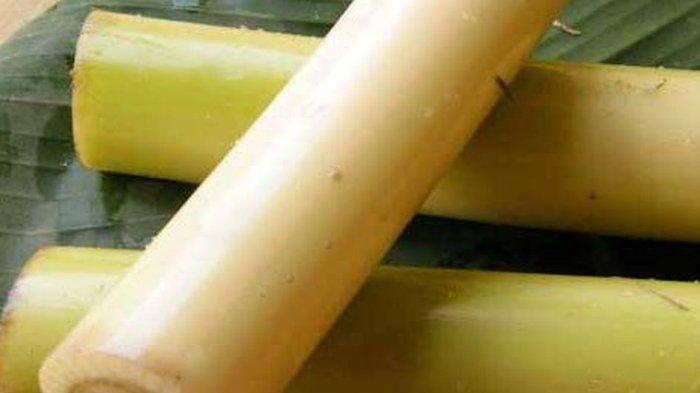 manfaat batang pohon pisang untuk kesehatan