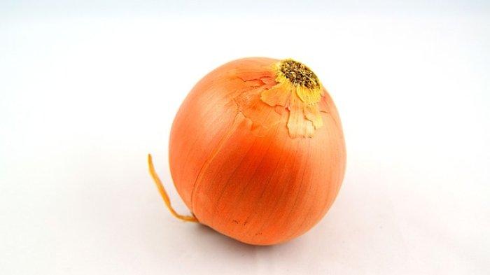 bawang bombay kaya khasiat