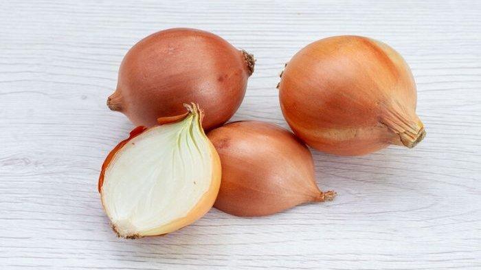 Ilustrasi bawang bombay untuk mengatasi gigitan nyamuk