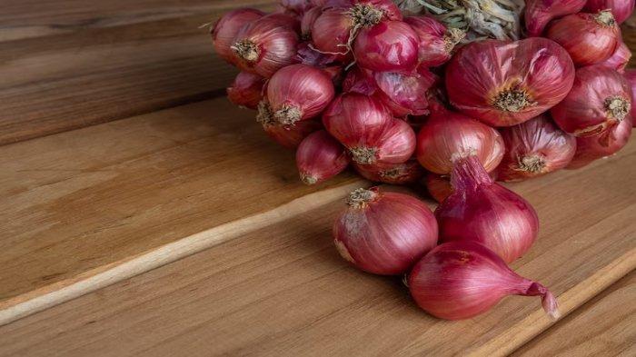 Ilustrasi bawang merah yang dapat dijadikan sebagai ramuan herbal untuk menurunkan demam pada anak