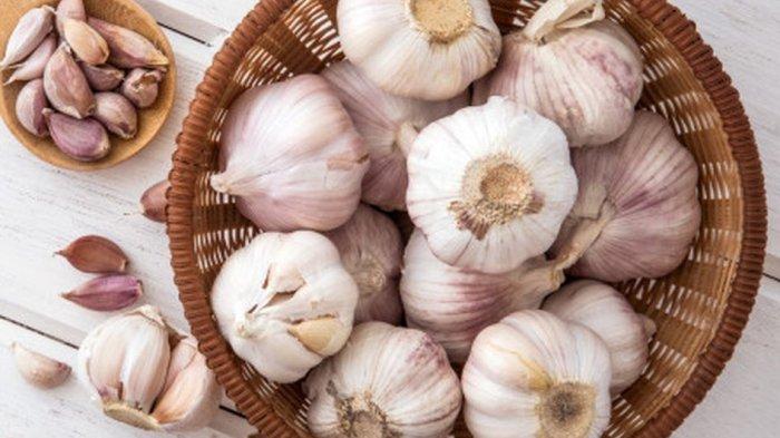 manfaat bawang putih untuk kesehatan