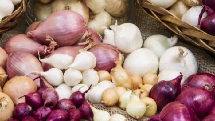 ilustrasi bawang merah dan bawang putih yang bagus untuk mengatasi masalah kesehatan