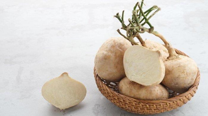 Ilustrasi bengkuang, berikut manfaat konsumsi bengkuang untuk kesehatan