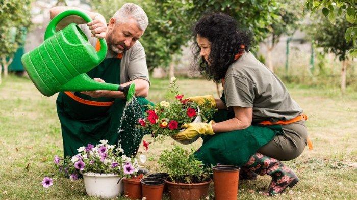 Ilustrasi aktivitas berkebun, salah satu aktivitas yang bisa membakar kalori