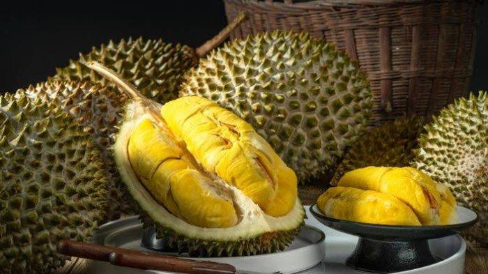 Ilustrasi manfaat biji durian