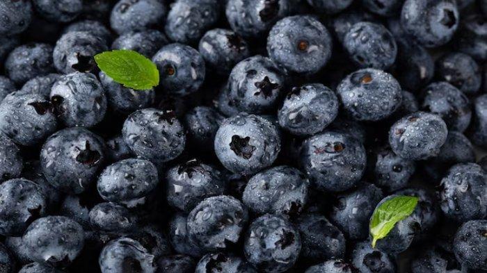 Ilustrasi blueberry, berikut ini manfaat blueberry untuk penderita diabetes