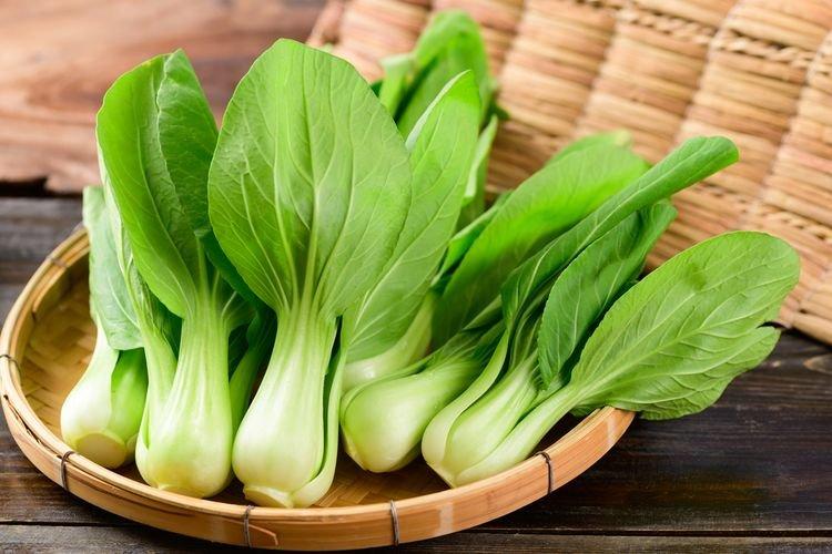 bok choy