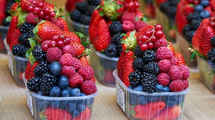 manfaat buah beri untuk kesehatan
