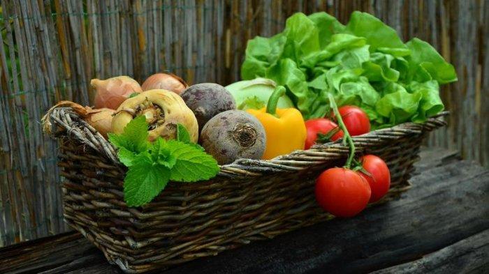 Ilustrasi buah dan sayur kaya akan protein