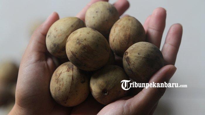 Buah duku cukup digemari di masyarakat, selain harganya murah, buahnya pun mengandung banyak manfaat