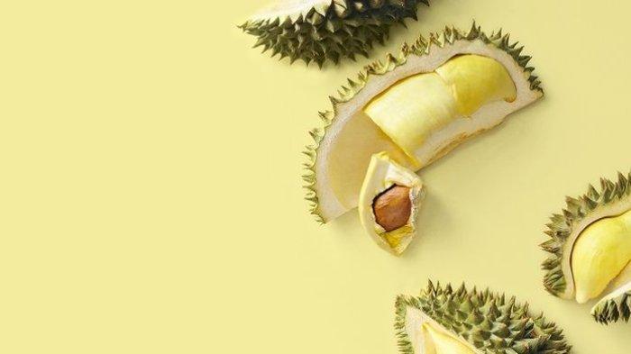 ilustrasi buah durian