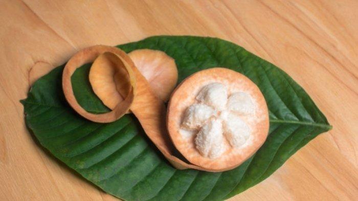 buah kecapi