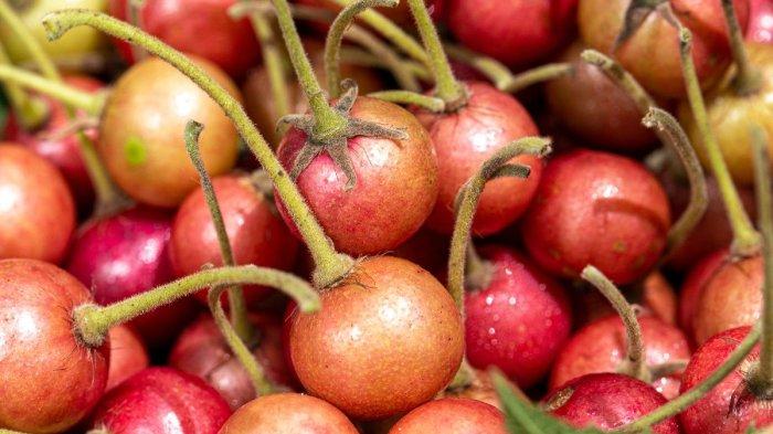 khasiat buah kersen untuk kesehatan