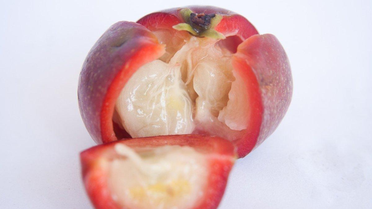 ilustrasi buah kokam yang mengandung prebiotik dan bagus untuk menurunkan kolesterol jahat