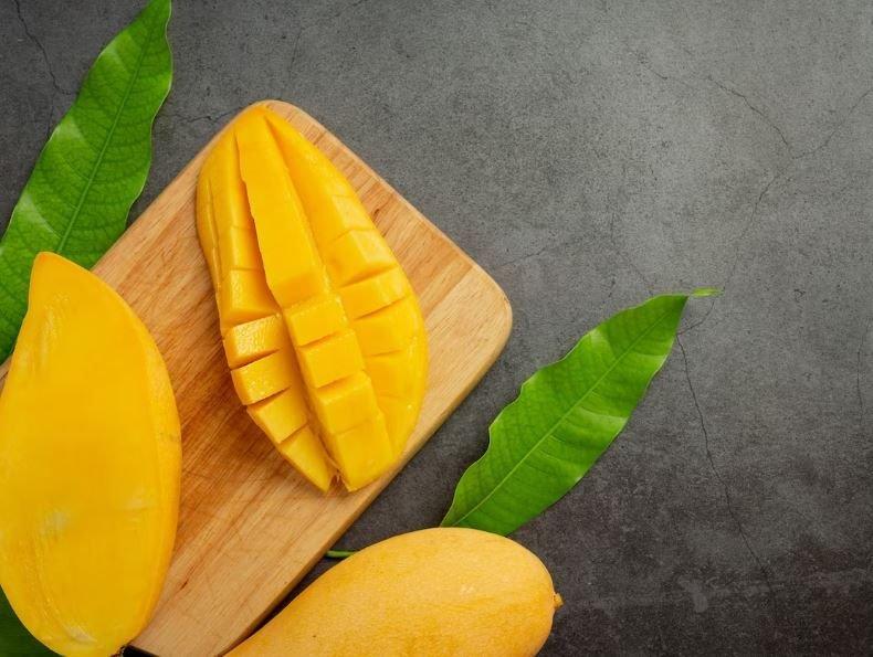 ilustrasi buah mangga