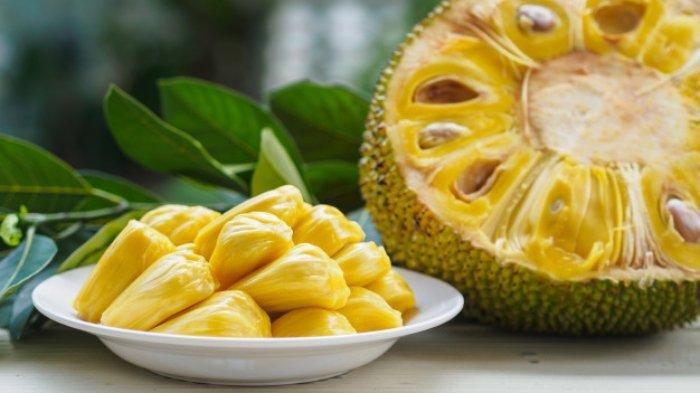 ilustrasi buah nangka