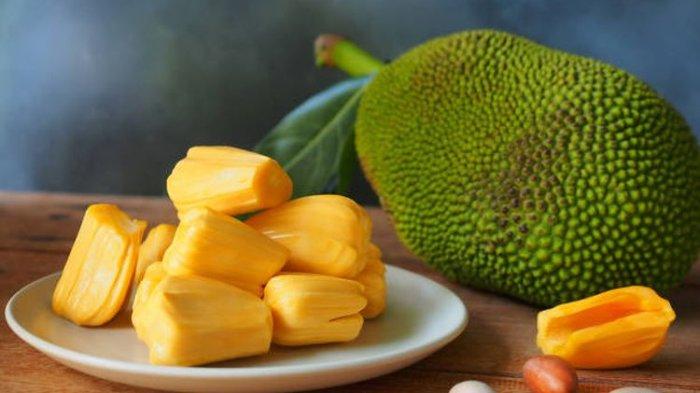 Ilustrasi buah nangka, berikut manfaat nangka mentah untuk penderita diabetes