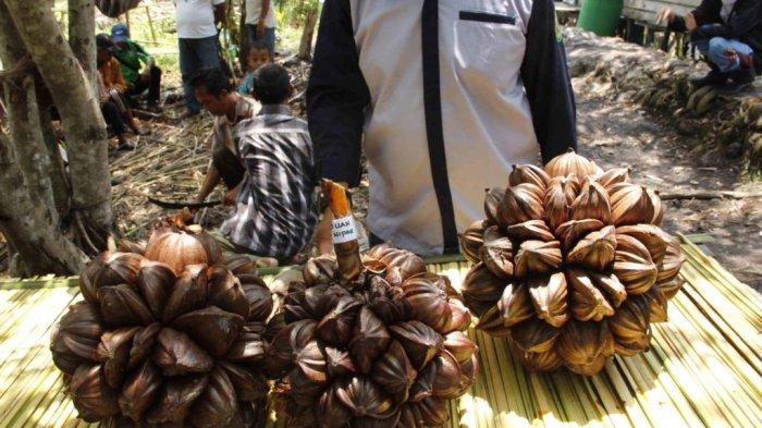 manfaat buah nipah untuk keehatan