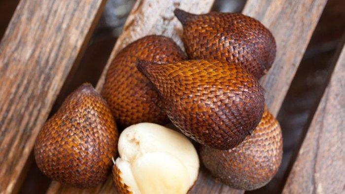 ilustrasi buah salak